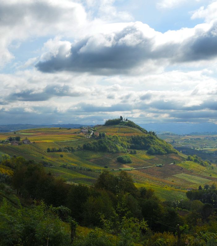Il Piemonte del vino bianco fa squadra