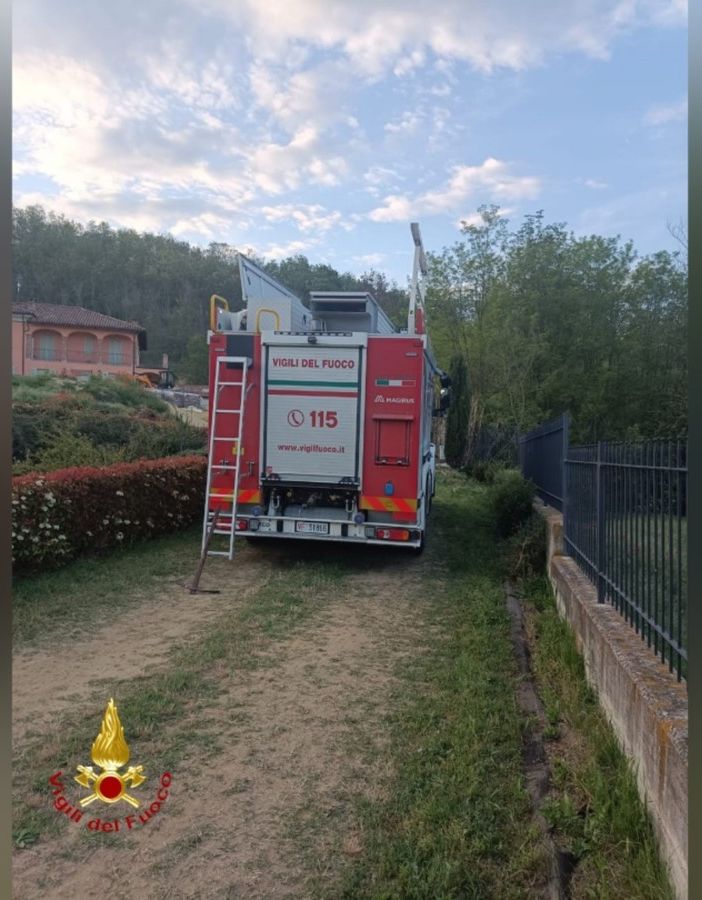 Gatto incastrato in una tubazione stradale: liberato dai Vigili del Fuoco