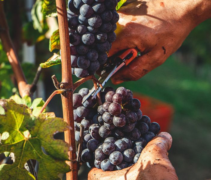 Obiettivo valorizzare le eccellenze del territorio e creare opportunità di lavoro