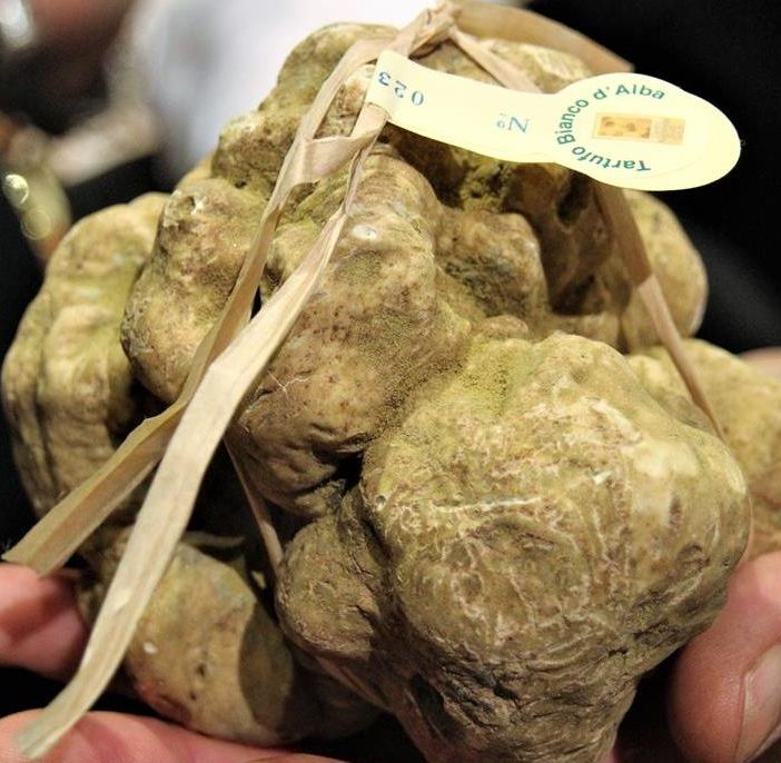 Tartufi da premiare