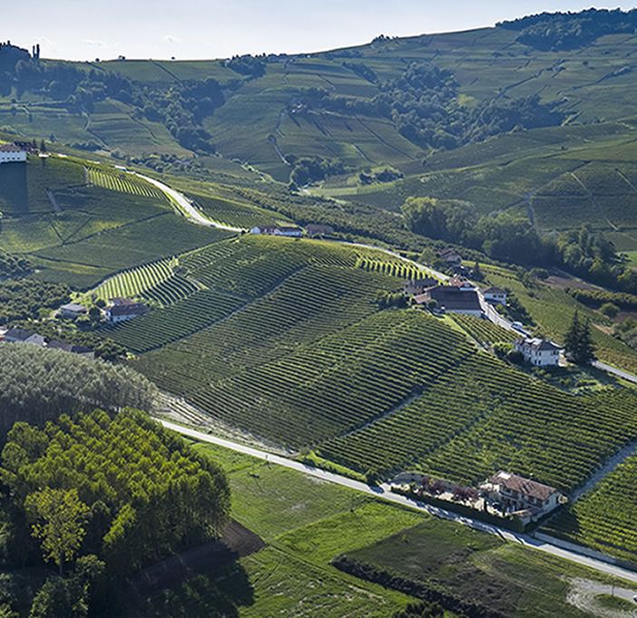 Per la Cantina Terre del Barolo un 2019 importante