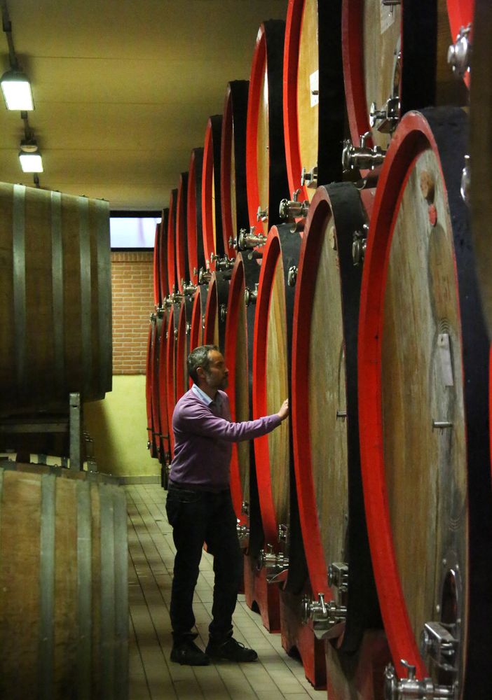 Cantina Terre del Barolo: in enoteca per fare esperienza del territorio