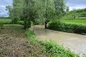 Torrente Tiglione