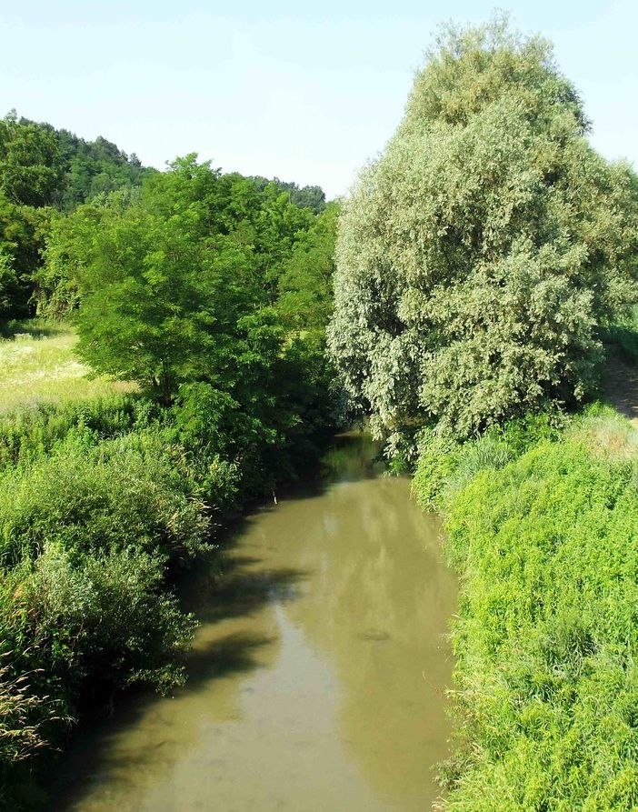 Il torrente Triversa, lungo cui si snoderà la nuova pista ciclabile
