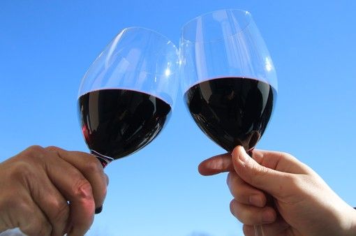 CNA: &quot;Il settore vitivinicolo non è un cartello di produttori di veleni&quot;