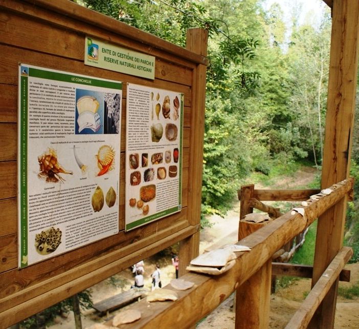 Il Distretto Paleontologico dell'Astigiano svela la bellezza di Valle Botto