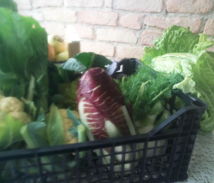 Verdure dell'Astigiano, fotografate a Mombercelli da ContOrto prima che chiudesse