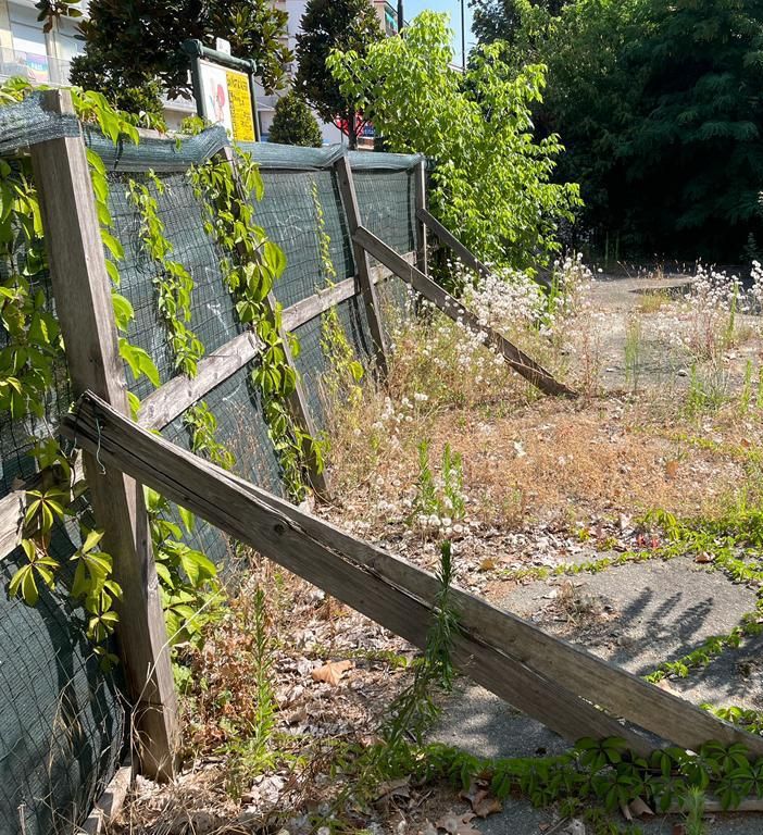 Decoro urbano e viabilità al centro di due nuove interrogazioni della minoranza