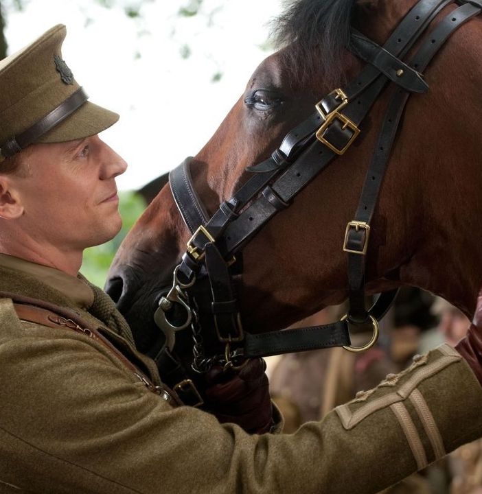 War Horse di Steven Spielberg sarà il secondo film della rassegna &quot;Cinema: che Valore&quot;
