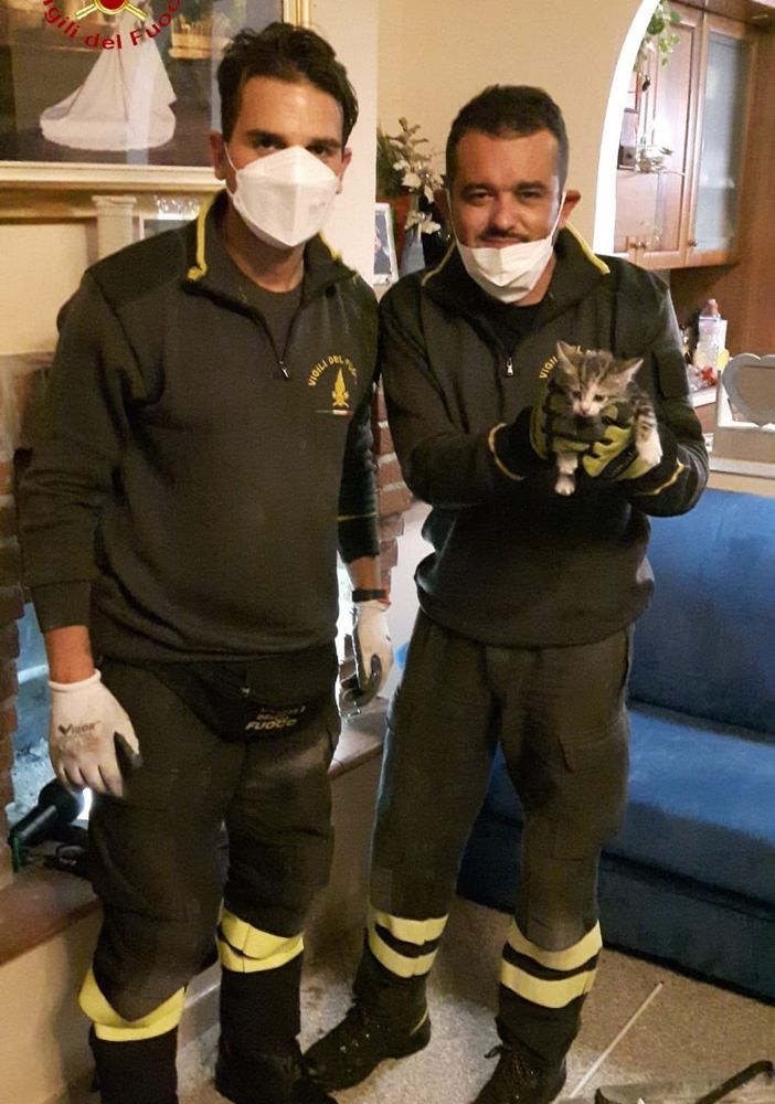Villanova: gattino incastrato nel caminetto, salvato dai Vigili del Fuoco