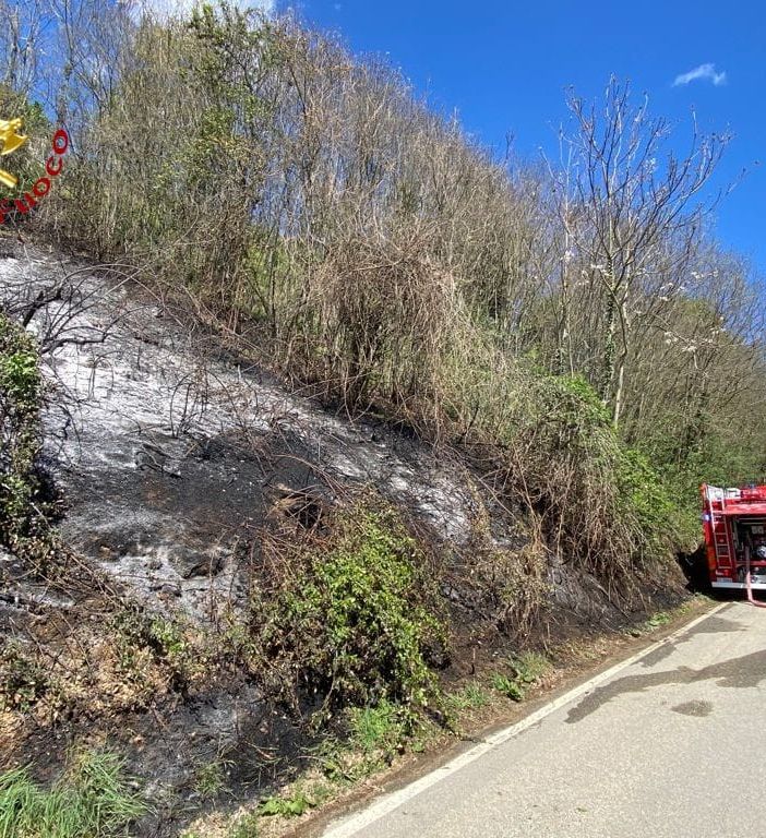 Sessant: a fuoco sterpaglie in un bosco. Coinvolti mille metri quadri di terreno