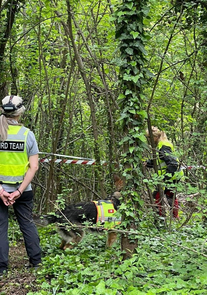 Caso Farinella: oggi trovati nuovi resti dello scheletro nei boschi dell'Astigiano