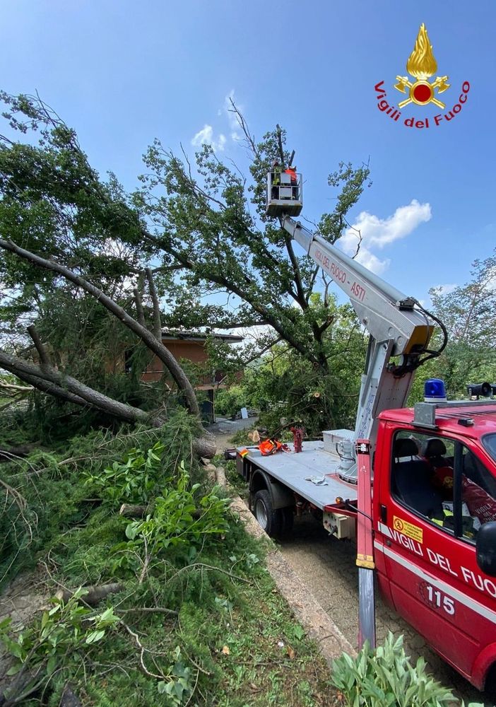 Vigili del fuoco impegnati nella rimozione di due grossi alberi caduti