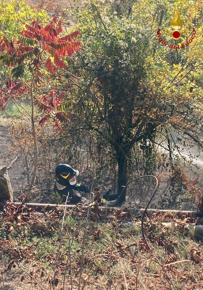 Robella: incendio sterpaglie nel giardino di una casa. Intervengono i vigili del fuoco