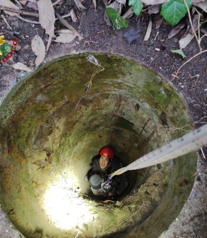 Montechiaro, cane caduto in un pozzo profondo 20 metri salvato dai vigili del fuoco