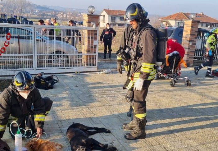 Vigili del fuoco impegnati nel soccorrere i cani della famiglia intossicata e altri soccorritori sullo sfondo Vigili del fuoco impegnati nel soccorrere i cani della famiglia intossicata e altri soccorritori sullo sfondo