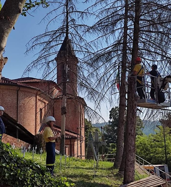 Protezione civile: a Serravalle intervento di abbattimento piante ad alto fusto