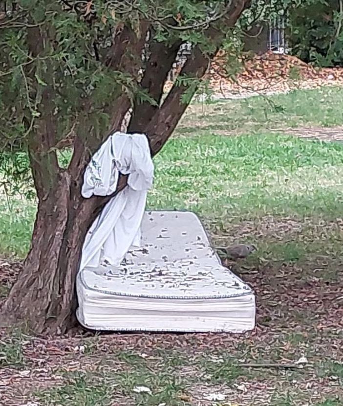 Al parco Griffa un materasso e un lenzuolo sotto a un albero, vicino ai giochi per i bambini