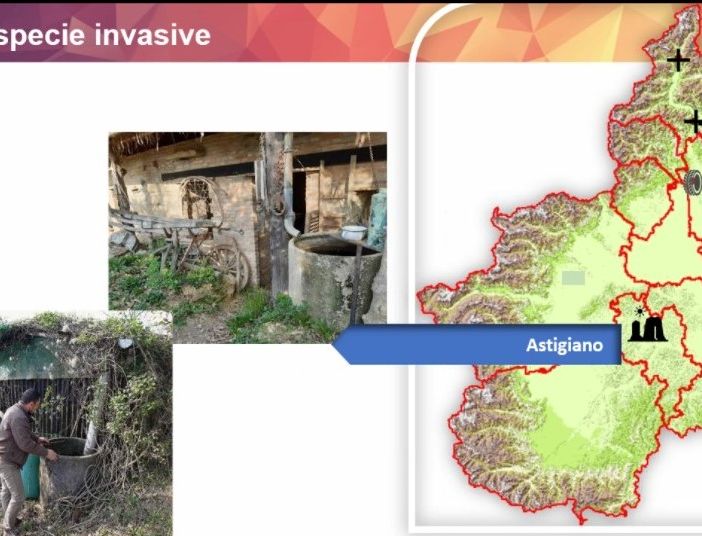 Alcune schermate relative la diffusione delle zanzare in Piemonte