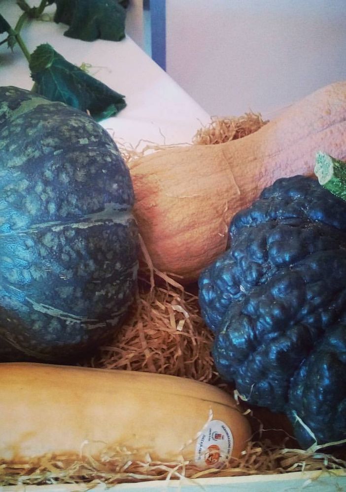 Vacanze nell’Astigiano con tanto sale in zucca