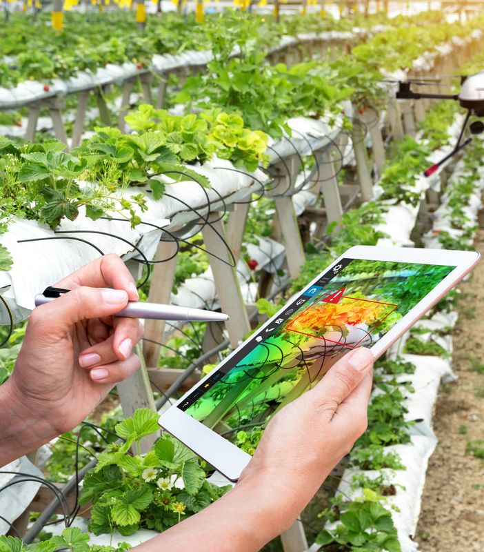 La digitalizzazione del Quaderno di campagna solleva dubbi e perplessità tra gli agricoltori