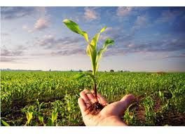 Asti agricoltura, nuovo governo: “Nella transizione ecologica l’agricoltura ha un ruolo centrale, al G20 si discuta del legame tra sostenibilità, ambiente e innovazione tecnologica”