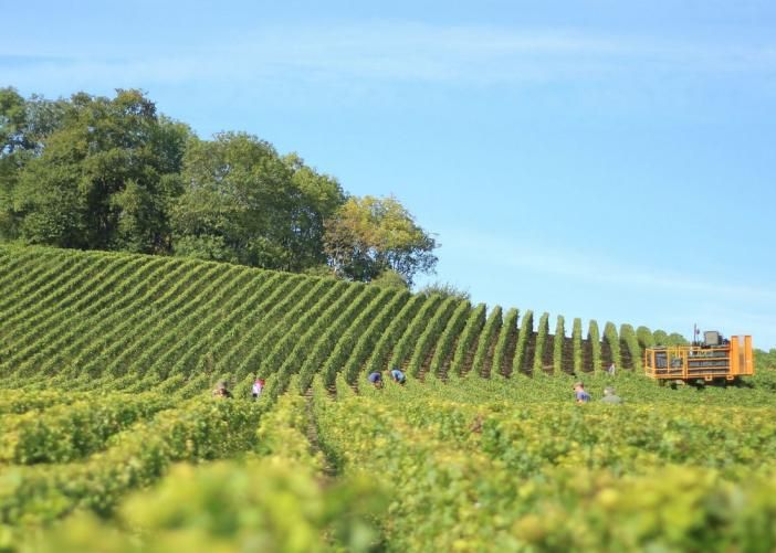 Agricoltura, bando da 1,8 milioni per nuove adesioni ai regimi di qualità dell'agroalimentare
