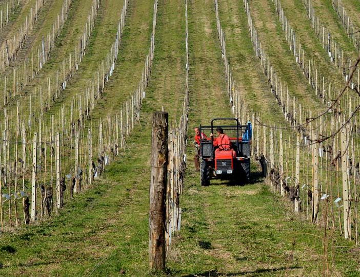 In arrivo il nuovo Bando ISI per il settore Agricolo