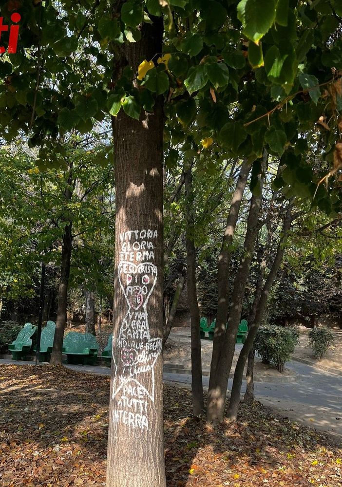 Ai giardini Alganon tornano i vandali. Scritte su una pianta all'entrata da via Mons Rossi