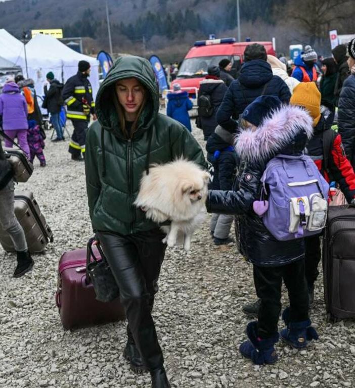 Anche ad Asti attivi i veterinari per gli animali in fuga dalla guerra con i profughi