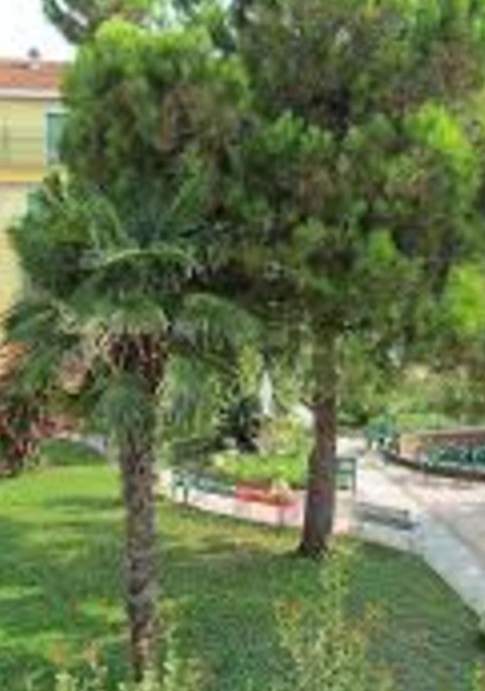 Il Covid arriva anche nella Residenza per anziani &quot;Zabert&quot; di Valfenera
