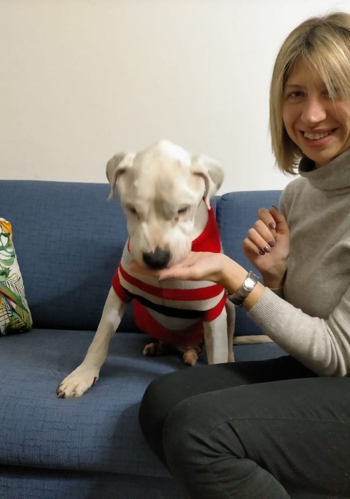 La più bella favola di Natale: Aramis, in canile da sei anni e con un tumore alla milza, è stato adottato