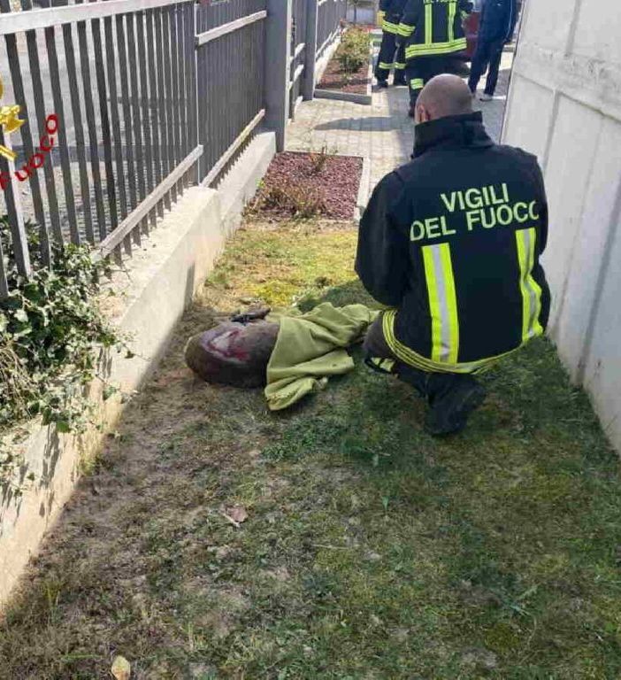 Immagine di repertorio