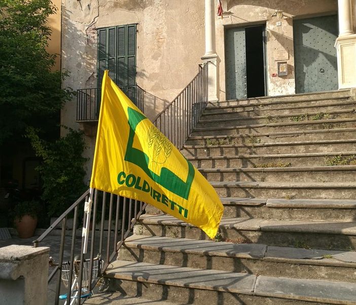 Ragazzi dipendenti da merendine ed energy drinks, Coldiretti lancia l'allarme