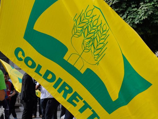 Migliaia di agricoltori in piazza a Torino per chiedere alla Regione un'altra velocità in agricoltura