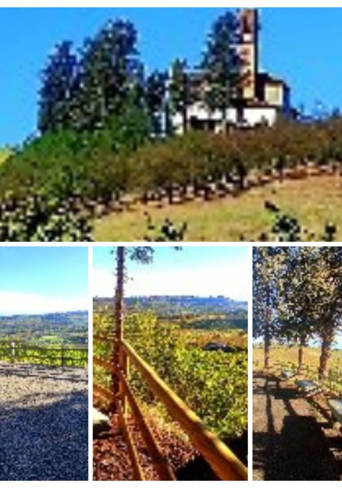 Alcune immagini del Belvedere