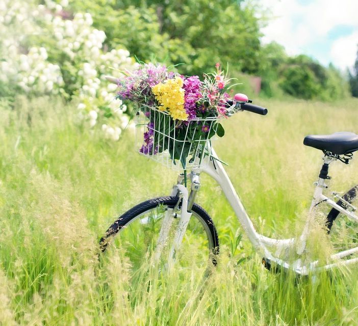 Ad Asti domenica 12 maggio si pedala a favore di Aism