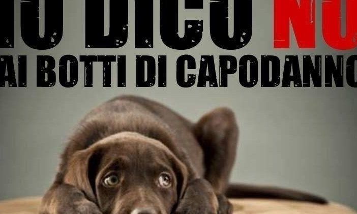 Il Comune di Castelnuovo Belbo vieta i botti di Capodanno su tutto il territorio comunale e nelle frazioni