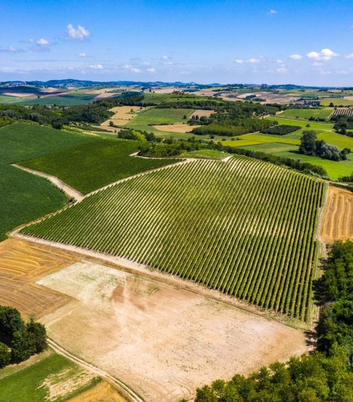Ferraris Agricola conclude il progetto Castelletto di Montemagno. Un investimento da mezzo milione di euro al servizio di una nuova etichetta e del territorio.