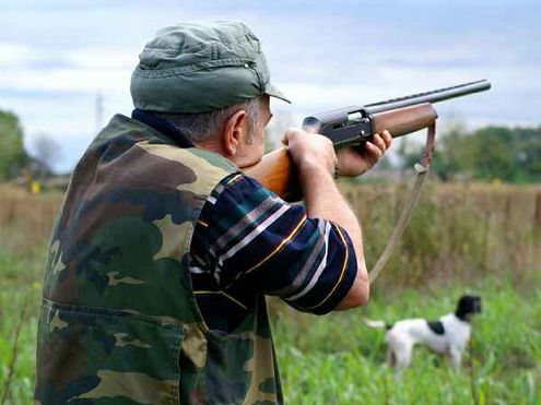 I Verdi rispondono ad Arci caccia e Libera caccia: &quot;Basta con le menzogne. Creare un velo ecologista intorno ai cacciatori è scandaloso&quot;
