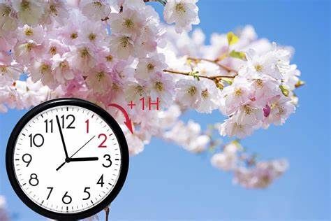 Torna l'ora legale: alle 2 di domenica 26 marzo, orologi avanti di sessanta minuti
