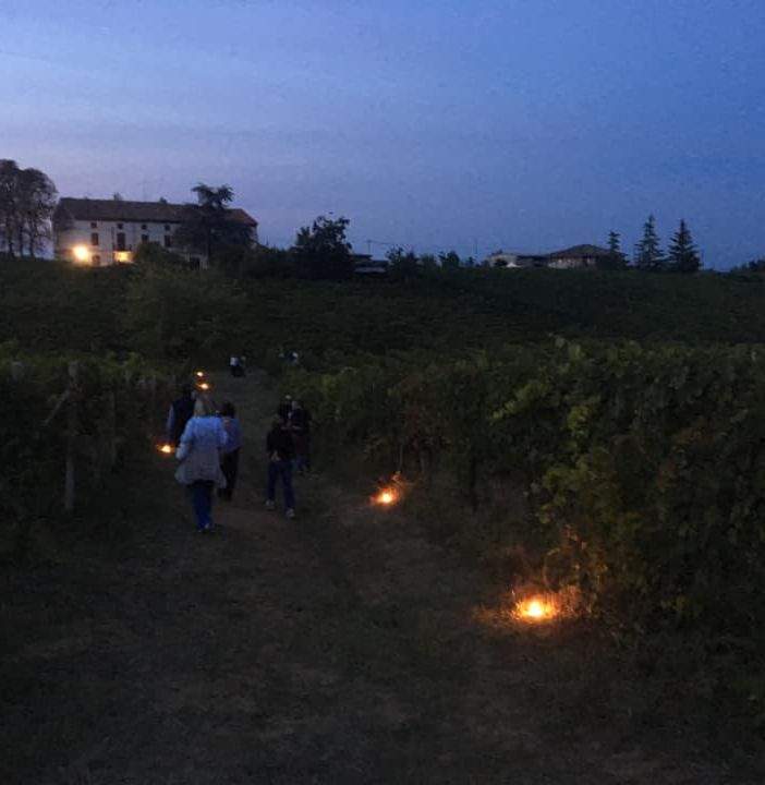 Castelnuovo Belbo, successo per la camminata notturna tra i filari patrimonio Unesco
