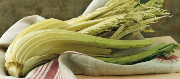 Cardo Gobbo di Nizza, una prelibatezza astigiana che piace anche all’estero