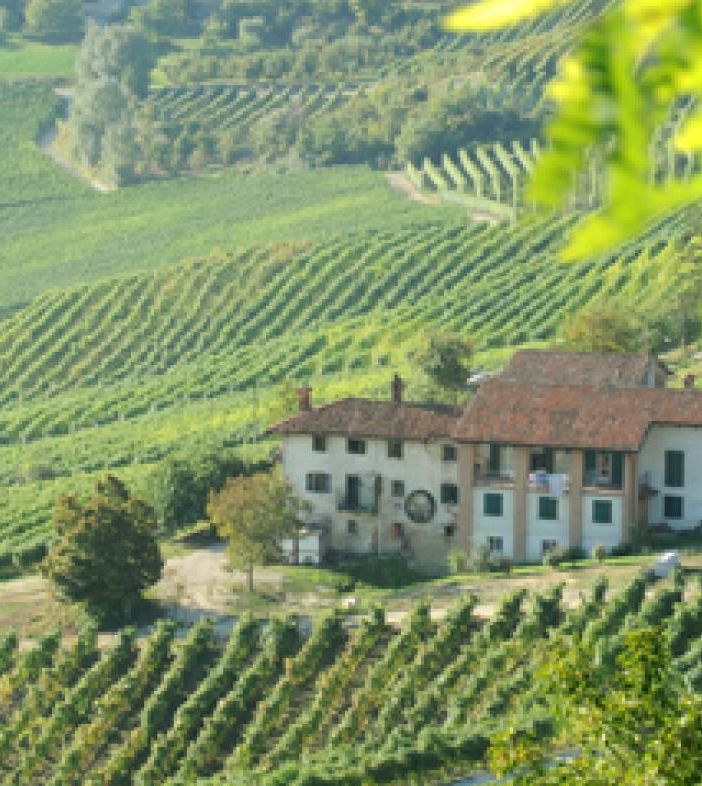 L’Associazione dei Paesaggi Vitivinicoli in finale per il Premio UNESCO-Grecia Melina Mercouri