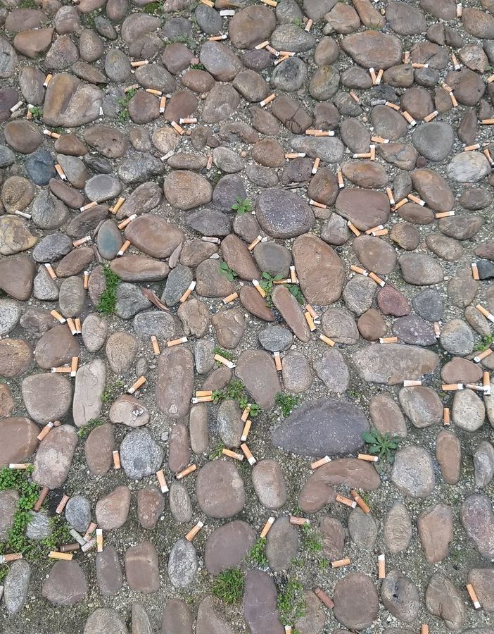 Cicche in via Milliavacca