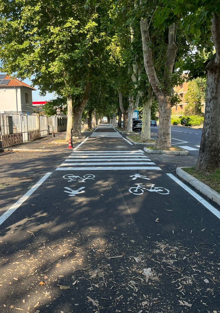 Patrimonio verde: in viale Pilone 4 platani da abbattere, 18 da potare