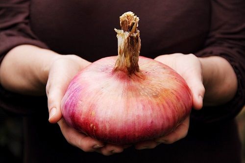 Alla cooperativa Rava e Fava di Asti parte l'attesa cooperazione con i presìdi Slow Food