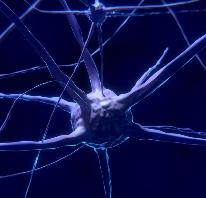 Cervello e computer collegati da un circuito neurale 3D