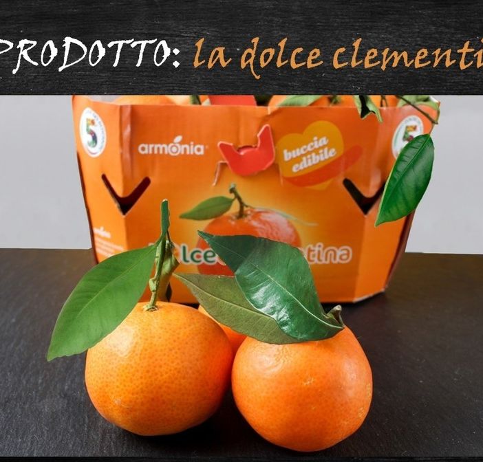 Felici &amp; Veloci, la nuova ricetta AutograFata di Fata Zuccchina: la clementina donata