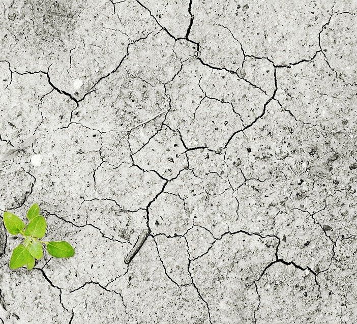 Siccità: il Piemonte sollecita il riconoscimento dello stato di calamità e di emergenza